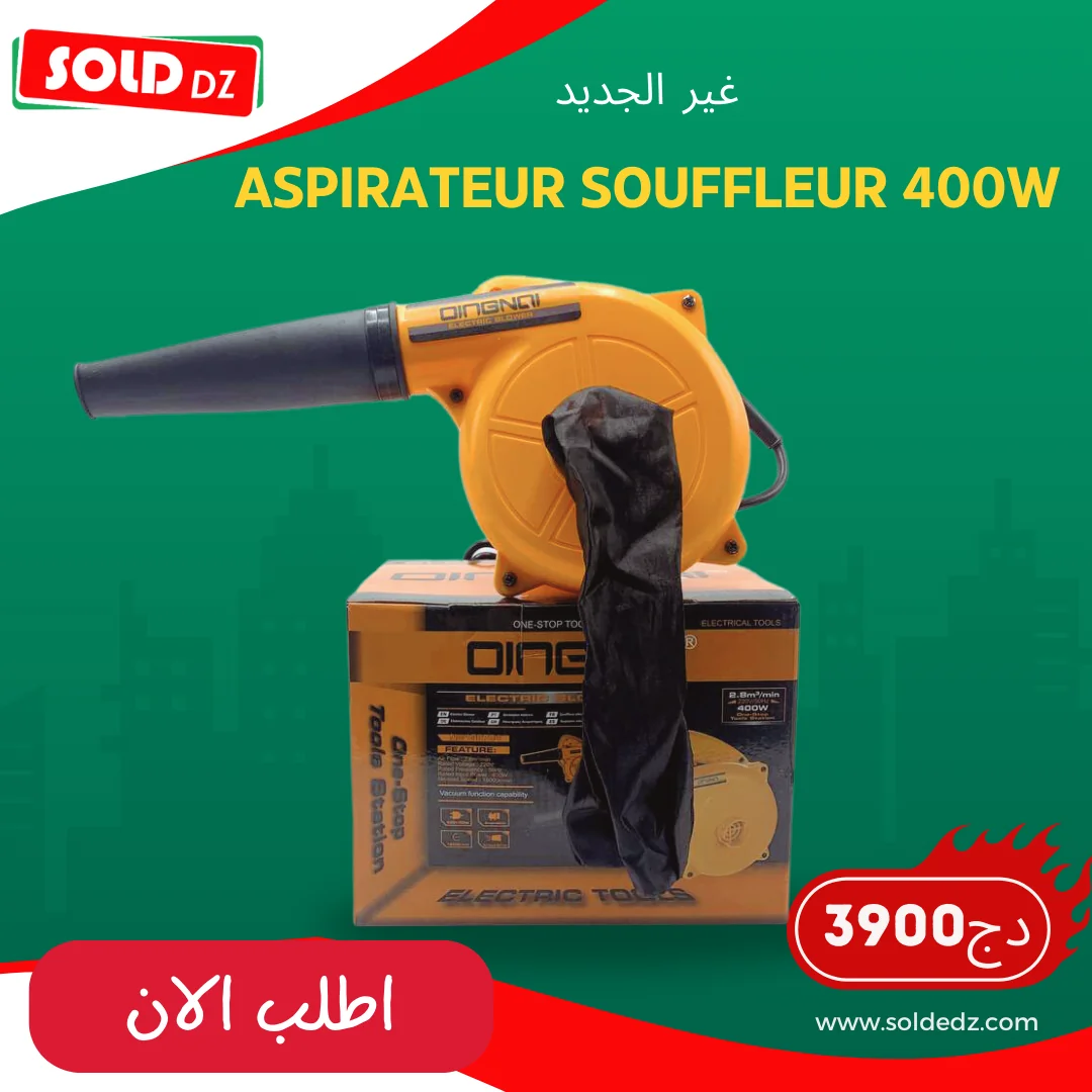 Aspirateur Souffleur 400w